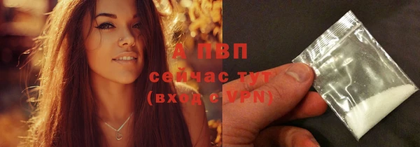 стафф Абаза
