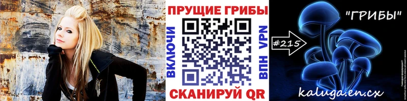 Галлюциногенные грибы мицелий  блэк спрут как войти  Новотроицк  купить наркотики сайты 